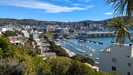 Obraz premium Scenic elevated landscape view of Wellington in New Zealand Aotearoa overlooking Oriental Bay, Chaffers Marina, waterfront and harbour
