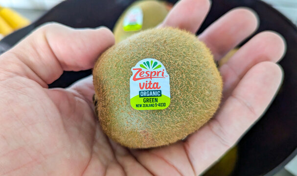 Closeup of fresh Zespri vita organic green kiwifruit from supermarket in hand in Wellington, New Zealand Aotearoa - taken on 19 August 2024