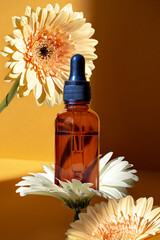 Face serum or oil concept. Natural cosmetic. Clear glass bottle filled with golden essential oil serum is placed on a yellow-brown background surrounded by gerbera flowers.