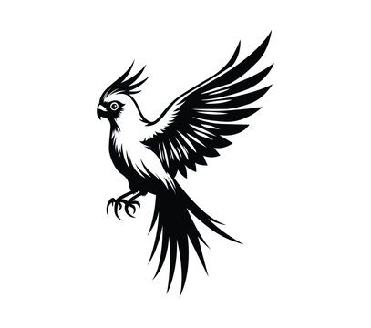 recommend clip art: Cockatoo bird vector
