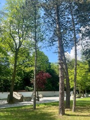 Landscape view of Japanese park with trees and grass on a sunny day in Chorzow, Silesia, Poland