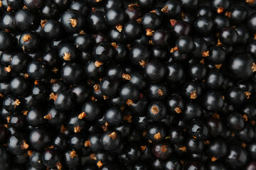 Ripe black currants as background, top view
