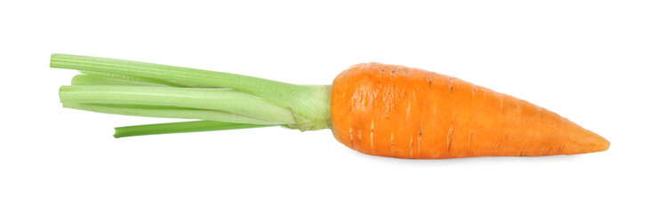 One fresh ripe carrot isolated on white