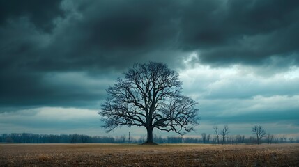 A solitary winter tree stands resiliently against the backdrop of brooding dark clouds its bare branches reaching skyward like intricate veins against the impending storm a stark yet c : Generative AI