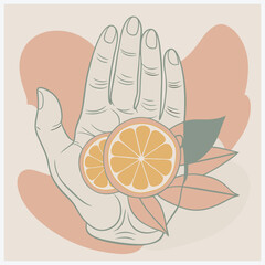 Hand-Drawn Orange Fruit Vector Illustration