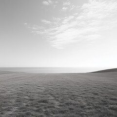 misty morning landscape