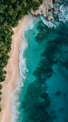 beautiful vertical wallpapers and screensavers for smartphone