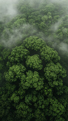 beautiful vertical wallpapers and screensavers for smartphone