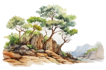 PNG Landscape outdoors nature plant.