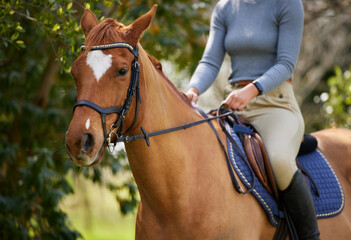 Woman, horse riding and legs in saddle, outdoor or transport at ranch in summer by trees. Person, equestrian and jockey on animal with hands, training or prepare for competition at farm in Argentina