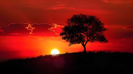 Obraz premium red sunset. 