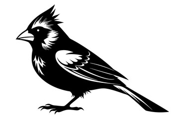 Cardinal silhouette vector illustration