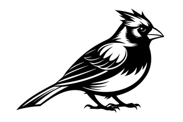 Cardinal silhouette vector illustration