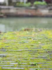 traditional lifestyle,neigborhood,green life,habitat,day and night,old buildings