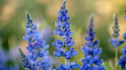 Fototapeta premium Denver Botanical Garden Denver Colorado : Generative AI