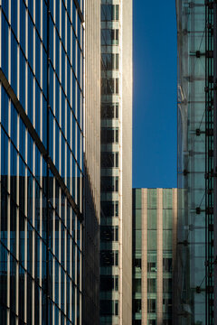 The image captures the close-up view of modern buildings with glass facades, reflecting sunlight, creating a stunning contrast against a clear blue sky.