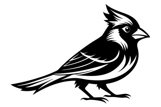 recommend clip art: Cardinal silhouette vector illustration