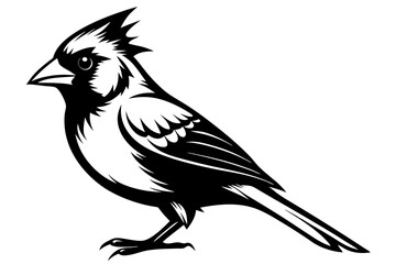 Cardinal silhouette vector illustration