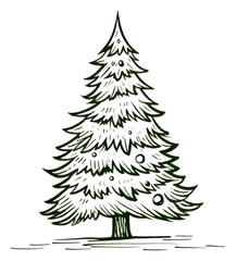 Obraz premium PNG Christmas plant tree pine.