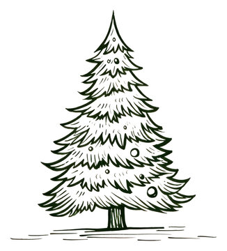 recommend clip art: PNG Christmas plant tree pine.