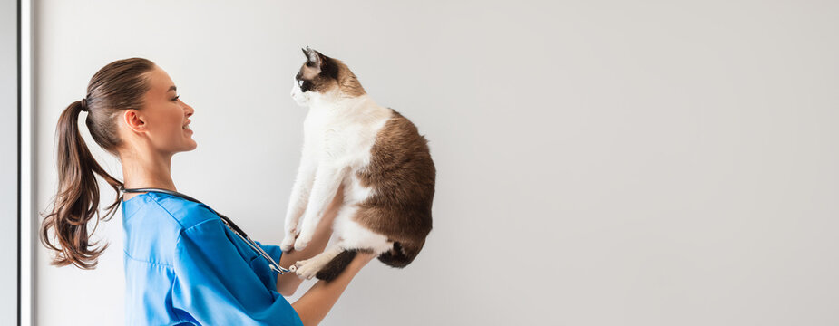Veterinary. Cheerful Veterinarian Doctor Woman Doing Health Checkup Holding And Examining Domestic Cat Standing in Modern Clinic. Feline Wellbeing And Healthcare Concept. Side View Shot, Copy Space