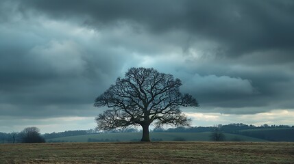 A solitary winter tree stands resiliently against the backdrop of brooding dark clouds its bare branches reaching skyward like intricate veins against the impending storm a stark yet c : Generative AI