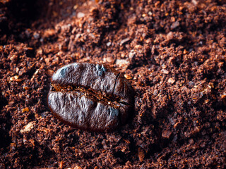 Coffee bean on ground coffee, Close up of coffee bean and ground coffee