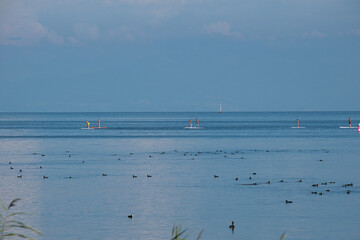 Stand-up-Paddler auf dem Bodensee