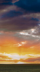 Obraz premium Spring Sunset Sky Above Countryside Rural Meadow Landscape. Wheat Field Under Sunny Spring Sky. Skyline. Agricultural Landscape With Growing Green Young Wheat Shoots, Wheat Germs.