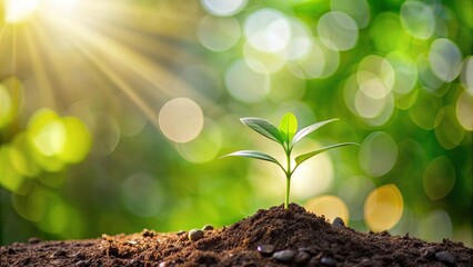 Seedling growing on blurred natural background symbolizing return on investment and saving money for profit, investment
