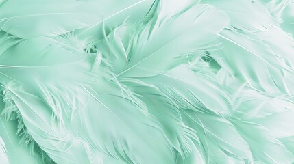Obraz premium Elegant Light Green Feather Texture Pattern in Pastel Shades, Perfect for Soothing Backgrounds, Design Inspirations, and Trendy Color Concepts in Nature-Inspired Themes