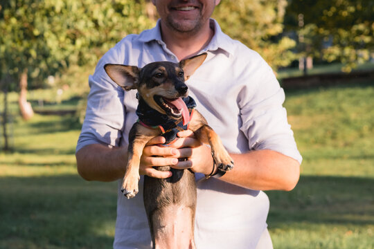 Smiling middle-aged man walks and plays with a small dog in public park