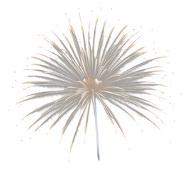 Fototapeta premium PNG Firework fireworks outdoors nature.