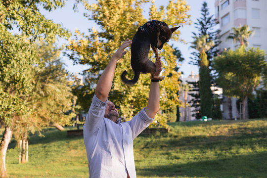 Smiling middle-aged man walks and plays with a small dog in public park