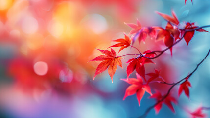 "Vibrant Autumn Foliage on a Red Background - Capturing the Essence of Fall's Colorful Leaves and Nature's Seasonal Transformation"