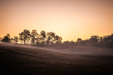 hills with dry grass with trees growing on them (contrasting with the bright sky), shrouded in thick morning fog, against a bright orange sky, during the golden hour in the morning