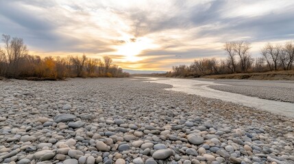 Obraz premium The sun sets over a calm river surrounded by tall trees, casting soft reflections on water and highlighting smooth stones along the bank.