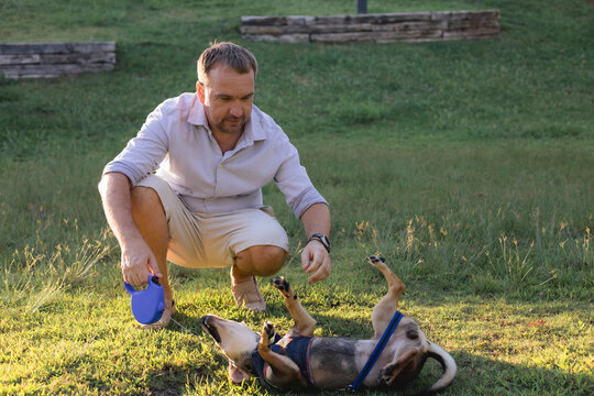 Smiling middle-aged man walks and plays with a small dog in public park