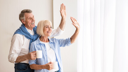 Senior couple waving hands near window, saying goodbye to grandchildren, free space