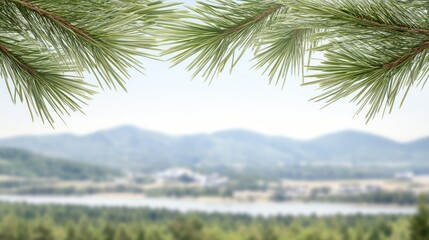 Green pine branches elegantly frame a serene river with a backdrop of trees and a bright sky, creating a calming atmosphere perfect for designs or banners
