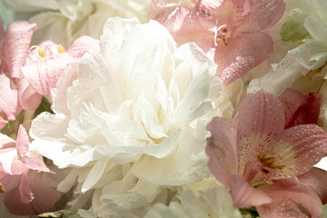 Close up Soft Flowers peonies and alstroemeria in Sunlit Window