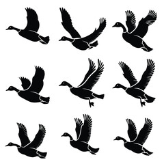 Obraz premium Silhouette illustrations of nine ducks in various flying poses on a white background.