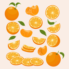 Set of oranges icons symbols. whole an slices. Stock vector art isolated on white background.