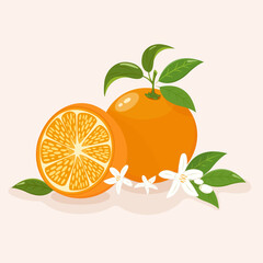 Oranges icons symbols. whole an slices. Stock vector art isolated on white background