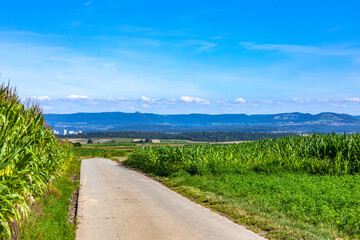country road with corn field and view to the swabian alb