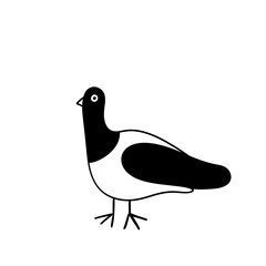 Pigeon icon