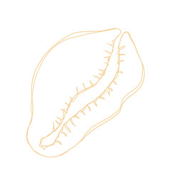 Seashell chaotic line art