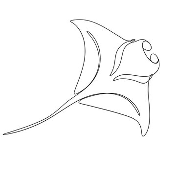 recommend clip art: Manta ray line art
