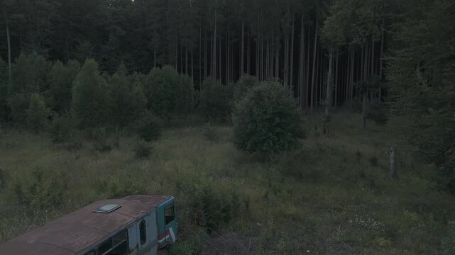 post-apocalyptic forest #2