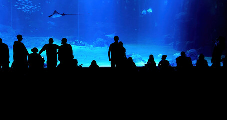 Unrecognizable silhouettes of people observing marine life through a large aquarium window, highlighting an underwater world with a calming blue ambiance